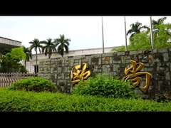 BESTA şirket profili